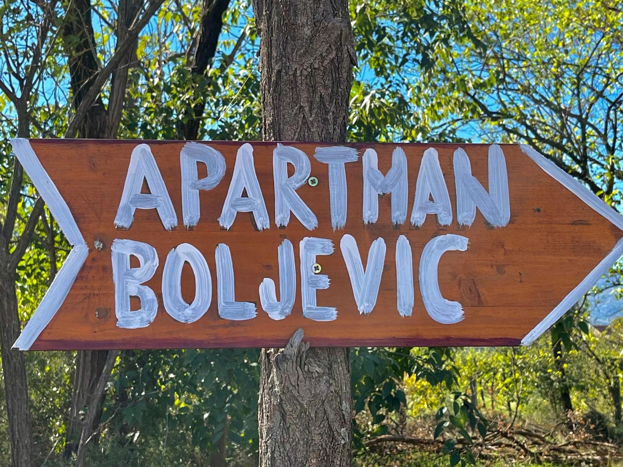 Apartman Boljevic Ποντγορίτσα Εξωτερικό φωτογραφία